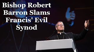 Bishop Barron SLAMS Francis Evil Synod [upl. by Ojiram725]