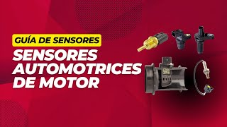 🔥 Descubre la Ubicación de los 7 Sensores MÁS IMPORTANTES en el Motor de tu Auto ✅ [upl. by Idac]