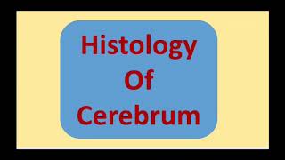 ANATOMY HISTOLOGY OF CEREBELLUM amp CEREBRUM [upl. by Hiasi138]