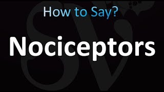 How to Pronounce Nociceptors correctly [upl. by Vinay]