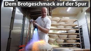 Dem Brotgeschmack auf der Spur Kürzere Version [upl. by Nedroj]