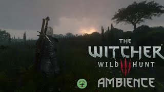 Toussaint Ambience with Mysterious Music 1 Hour The Witcher 3 Ambience   sleep  study  relax [upl. by Sidras348]