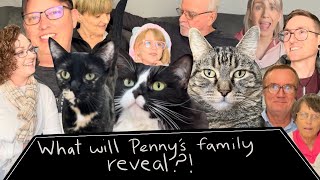 Penny the talking cat has a brother Exclusive interview with Pennys family members [upl. by Belcher]