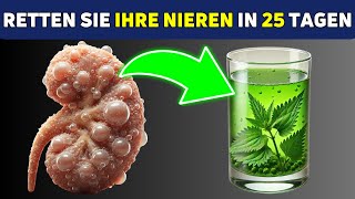 Die 10 besten Kräutergetränke zur HEILUNG Ihrer NIEREN in 25 Tagen [upl. by Assirol]