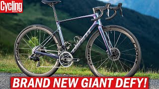 NEW 2024 Giant Defy  One Of The Last True Endurance Road Bikes [upl. by Adaynek]