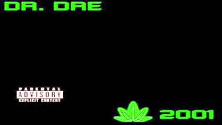 Dr Dre Up In Smoke Comin At Ya The Next Episode Ending [upl. by Per309]