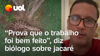 Réplica de jacaré Fiquei feliz porque prova que o trabalho foi bem feito diz biólogo [upl. by Dermot]