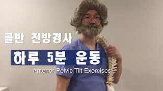 허리통증 골반전방경사 편 Anterior Pelvic Tilt Exercises [upl. by Oloapnaig]