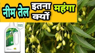 नीम तेल इतना महंगा क्यों🔥🔥Uses Of Neem OilNeem Oil For White FlyThrips CaterpillarNeem Oil Uses [upl. by Eolanda915]