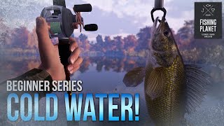 Lvl20 Brand New Baitcaster vs Super COLD Water  Fishing Planet [upl. by Lledroc51]