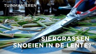 Siergrassen snoeien in het voorjaar Hoe doe je dat  Tuinmanieren [upl. by Cathryn]