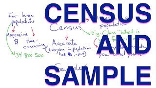 Census and Sample  Methods of Data Collection  Learn with an Experienced Teacher [upl. by Odessa]