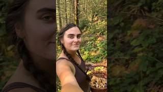 A Very Successful Chanterelle Forage 💛 mushroom foraging pnw [upl. by Banerjee]