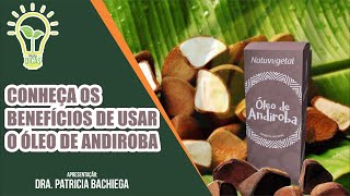 Conheça os Benefícios do Óleo de Andiroba  Dra Patricia Bachiega [upl. by Adnawot925]