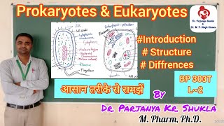 DNA Replication  Prokaryotic vs Eukaryotic Enzymes [upl. by Tirrag]