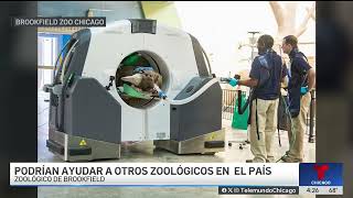 Veterinarios del zoológico de Brookfield crean base de datos de imágenes escaneadas para ayudar [upl. by Tower]