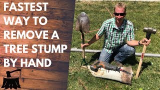 How To Remove A Tree Stump By Hand In 20 Minutes Or Less [upl. by Louisa]