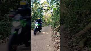 DOMINAR 400 vs DUKE 390 wheelie [upl. by Daas]