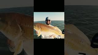 Unique Spots Monster Redfish 🎣 shorts fishing [upl. by Elboa]