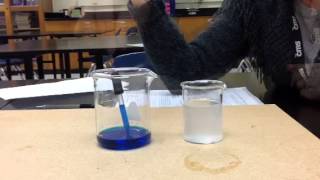 Salinity Lab Demonstration [upl. by Araek]