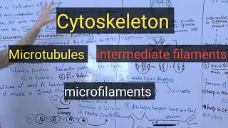 Cytoskeletonmicrotubulesmicrofilamentsintermediate filamentspashto detail lectures [upl. by Yenffad966]