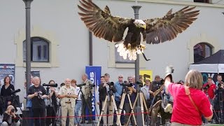 Internationale Naturfototage im Veranstaltungsforum Fürstenfeld [upl. by Aralc]