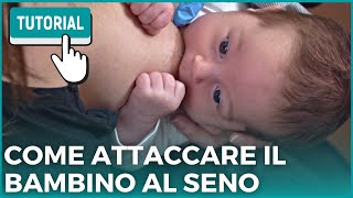 POSIZIONI PER ALLATTARE AL SENO E UN ATTACCO PROFONDO  VIDEO TUTORIAL ALLATTAMENTO [upl. by Ahsaten437]