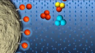 Hydrophobic Interaction Chromatography GFP Purification part 4 of 6 [upl. by Iegres]