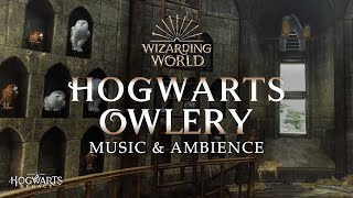 Harry Potter  Hogwarts Owlery Music amp Ambience Peaceful and Relaxing Scenes with DayNight Cycle 🦉 [upl. by Ennyletak256]