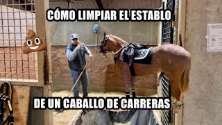 CÓMO LIMPIAR EL ESTABLO DE UN 🐴 DE CARRERAS  USA 🇺🇸 [upl. by Ecinue521]