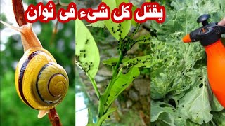 اقوى مبيد حشرى تختفى جميع الحشرات من الحديقه فى ثوانى بمكونات طبيعيه Natural insecticide [upl. by Shippee]