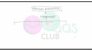 ➡ Estructura de la membrana plasmática Mosaico fluido Resumen [upl. by Eseneg]