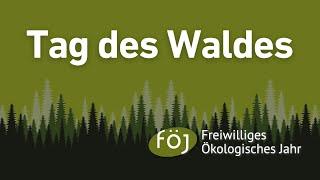 Tag des Waldes  Mit dem FÖJ BadenWürttemberg [upl. by De Witt]