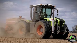 Claas Xerion 3300 Trac mit Horsch Maistro 8CC Mais legen 2015 [upl. by Anitsrik]