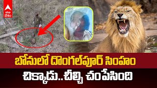 Lion Attack At Tirupati Zoo Park  సింహం బోనులోకి దూకేశాడా ఎందుకా పిచ్చి పని  ABP Desam [upl. by Deirdre]