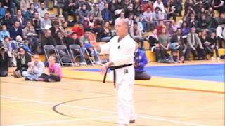 GOJURYU in Holland JAPAN BUDO DELEGATION [upl. by Oraneg176]