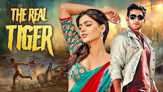 The Real Tiger Mahesh Babu  Hindi Dubbed BLOCKBUSTER Movie 2024  Samantha  Brahmanandam [upl. by Nylarahs337]