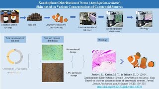 Boosting Nemos Brightness The Role of Carotenoids [upl. by Asoral]