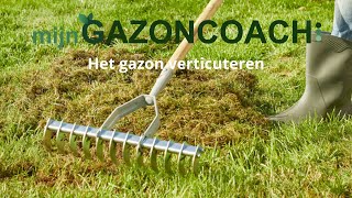 𝐕𝐞𝐫𝐭𝐢𝐜𝐮𝐭𝐞𝐫𝐞𝐧 𝐠𝐚𝐳𝐨𝐧  Wanneer en waarom verticuteren en hoe  MijnGazonCoach [upl. by Ruddie372]