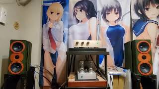 私の機材紹介 スピーカー編 Kinoshita REY AUDIO Small monitor KM1V [upl. by Hniv]