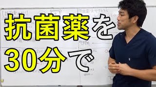 【抗菌薬】ペニシリン系・セフェム系を30分で解説 20212公開 [upl. by Nahallac401]