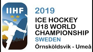 2019 IIHF Ice Hockey Womens World Championship  USA vs Finland Gold  OT [upl. by Concepcion655]