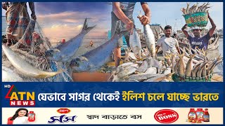 যেভাবে সাগর থেকেই ইলিশ চলে যাচ্ছে ভারতে  Hilsha  India  Bay of Bengal  ATN News [upl. by Alabaster]