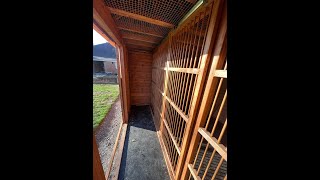 The Dos and Donts of Pigeon Loft Design [upl. by Mehala]