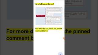 Who is Product Owner  1 min Software Testing Shorts 125 [upl. by Klockau]