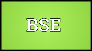 BSE Meaning [upl. by Shererd]