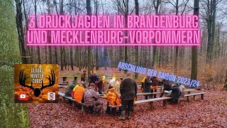 3 Drückjagden in Brandenburg und MecklenburgVorpommern  DrückjagdJournal Folge 823 [upl. by Minton]