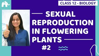 Sexual Reproduction in Flowering plants Class 12 2 Pollination Double Fertiization  CBSE NEET [upl. by Arved174]