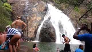 Dudhsagar waterfall Goa [upl. by Mcgean133]