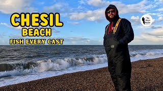 Chesil Beach UK Beach Fishing Wayne Hand 4K [upl. by Ciredec437]